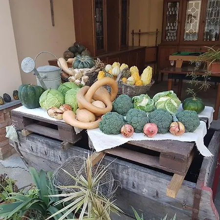 Guest house La Crota 3*