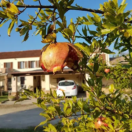 Guest house La Crota 3*