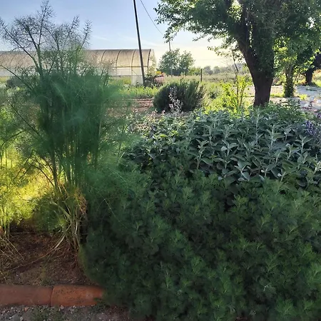 La Crota بيت ضيافة آستي