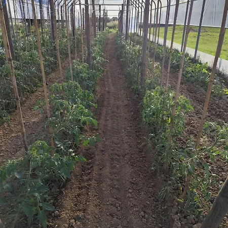 بيت ضيافة La Crota 3*