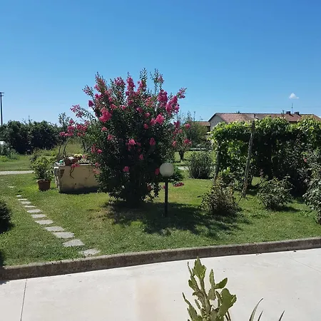 Guest house La Crota 3*